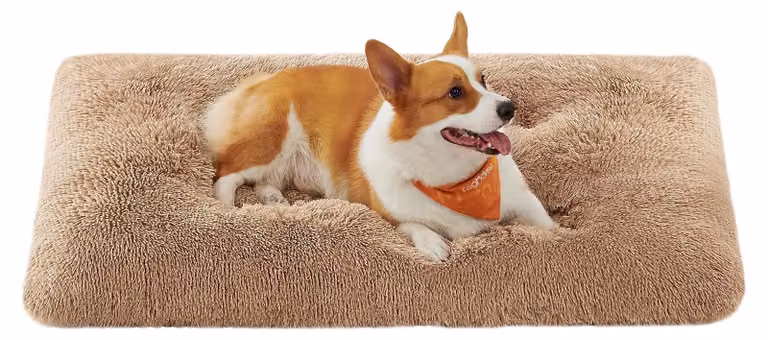 Cuccia e cuscini per cani morbidi e confortevoli, lavabili e multifunzionali, color marrone cammello