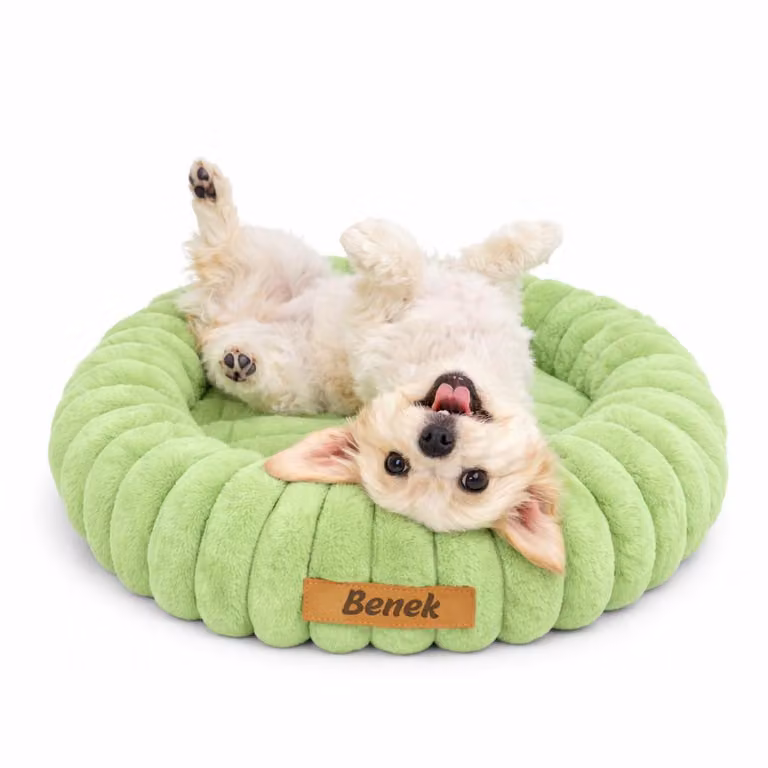 Dogeste Donut cuccia per cane 50 cm rotonda, cuscino morbido e soffice, lavabile, fondo antiscivolo