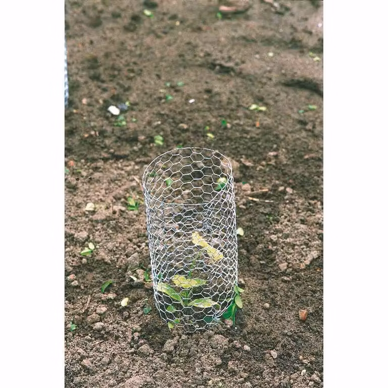 BETAFENCE Esagono vz13/0,7/1000/10m