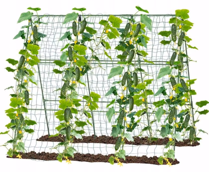 Tuta per piante con rete, 1,8x2,7 m | Garden Line