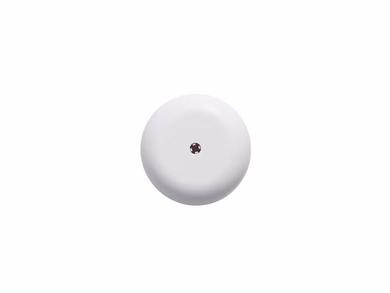 Rosone a Soffitto - Bianco