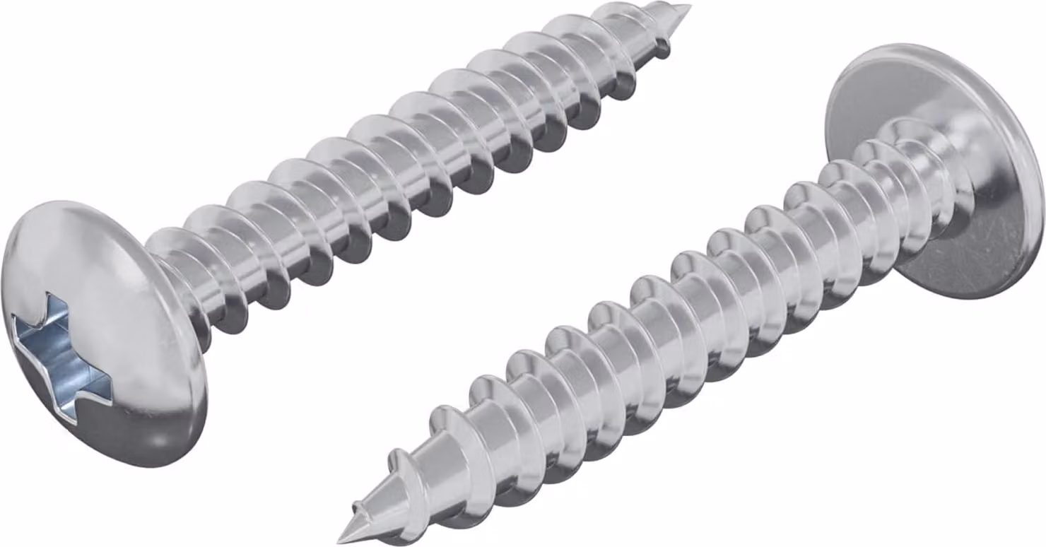 Chiodo autofilettante 2 pcs Zincato 4 x 25 mm Acciaio