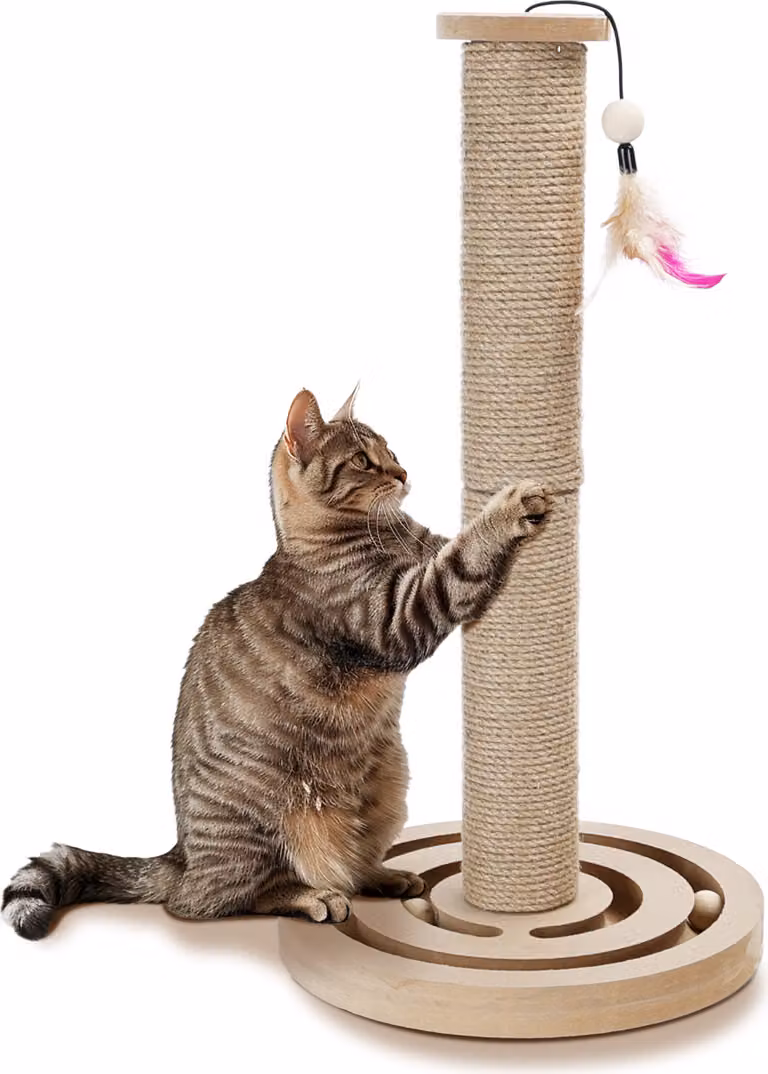 gioco interattivo per gatti 3 in 1, tiragraffi per gatti, tiragraffi con corda in sisal naturale dal design moderno