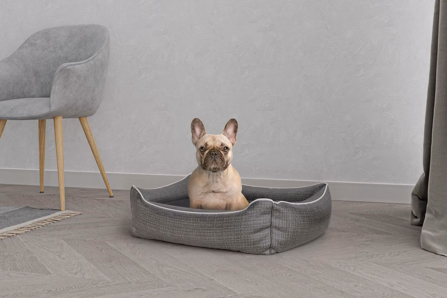Lenzuolo per letto per cani e gatti, modello Dandy, colore grigio, dimensioni 62 x 50 x 17 cm