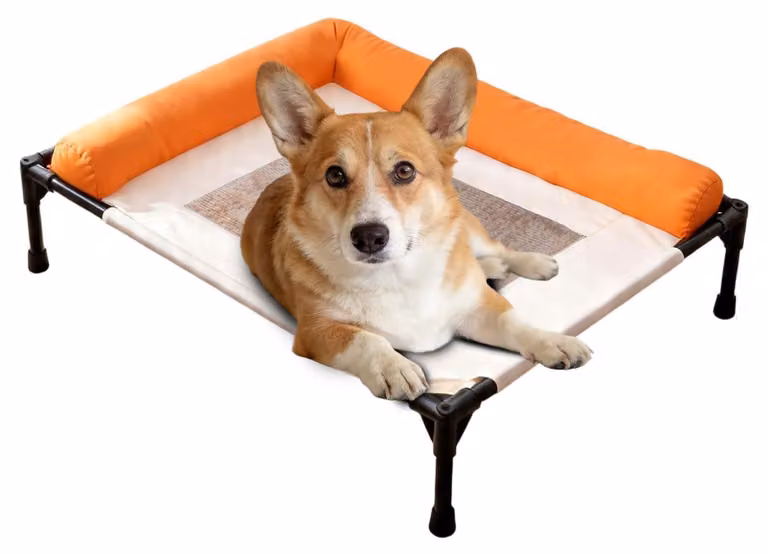 Letto rialzato per cani, ideale per il raffreddamento e il comfort