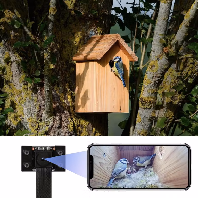 WIWACAM 4K Mini Telecamera Wi-Fi per nidi artificiali, con trasmissione in diretta sul cellulare, visione notturna, batteria ricaricabile, slot per scheda SD, versione MW5 per nidi artificiali