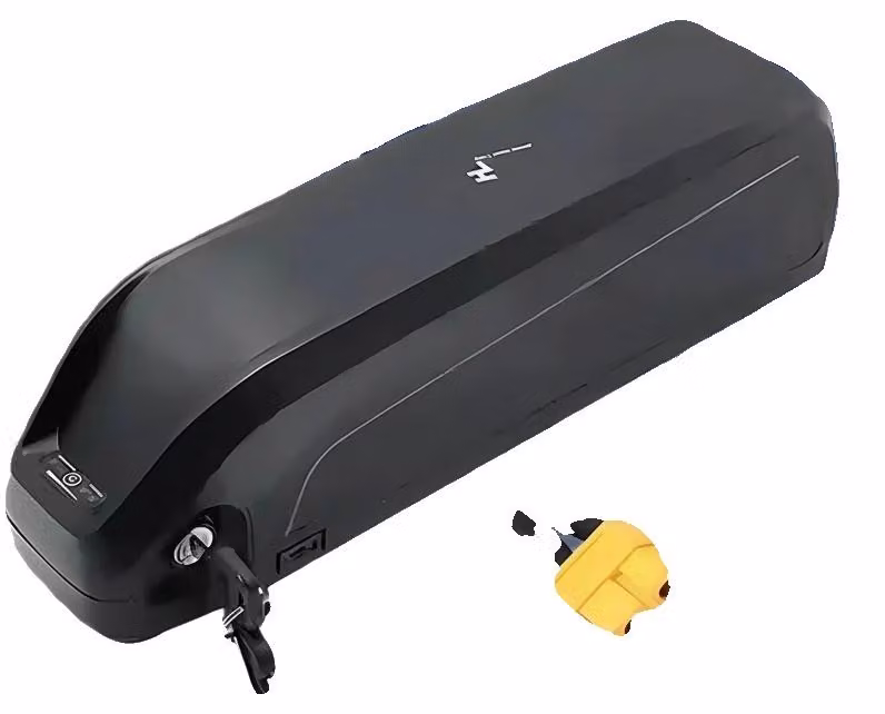 Batteria agli ioni di litio, capacità di 40Ah, con sistema di gestione della batteria (BMS) integrato, connettore a "T" da 48V - 40AH