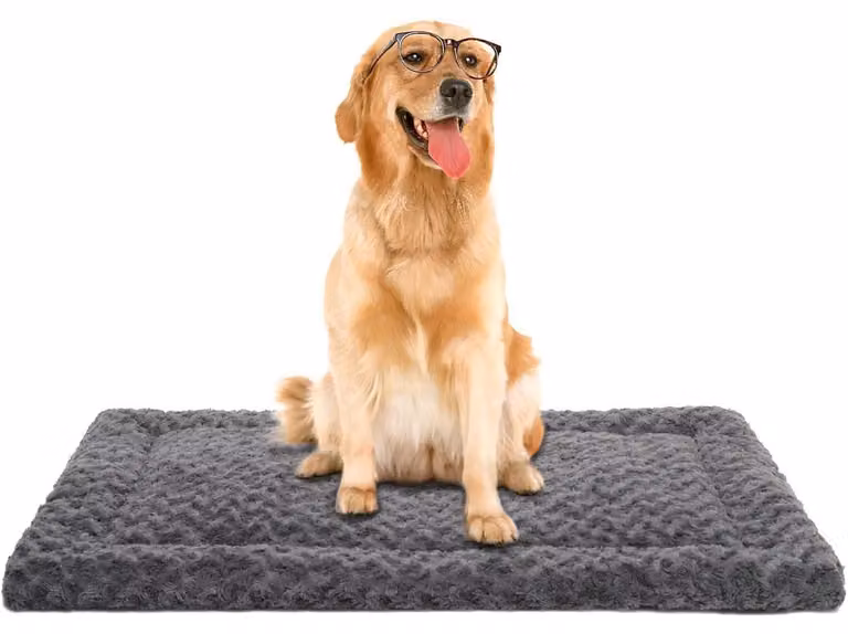 Tappetino lavabile per cani, taglia XL, 106x71 cm, colore grigio scuro