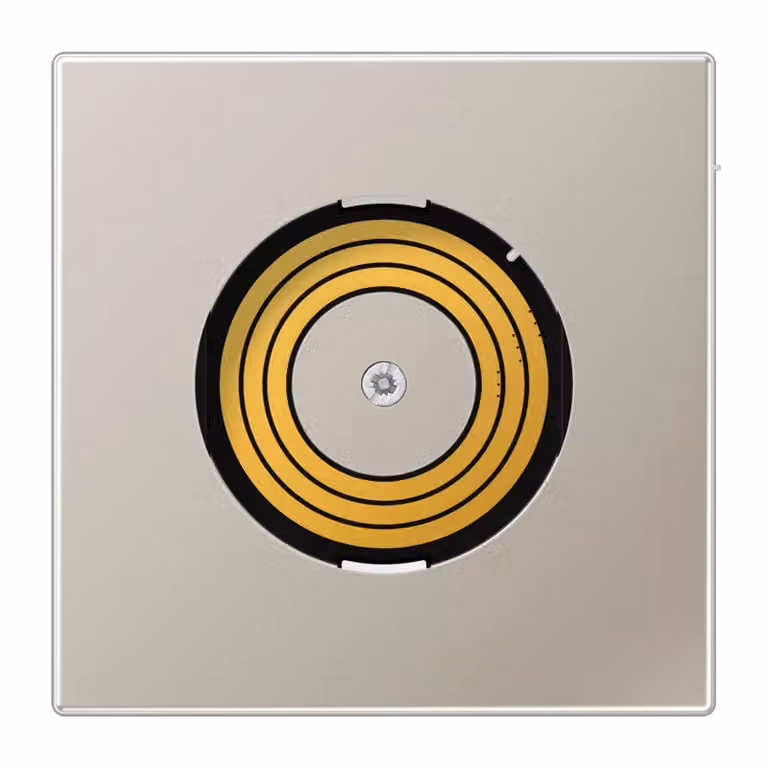 Copertura Jung PLESDMS-L serie P&L LS990 con DMS