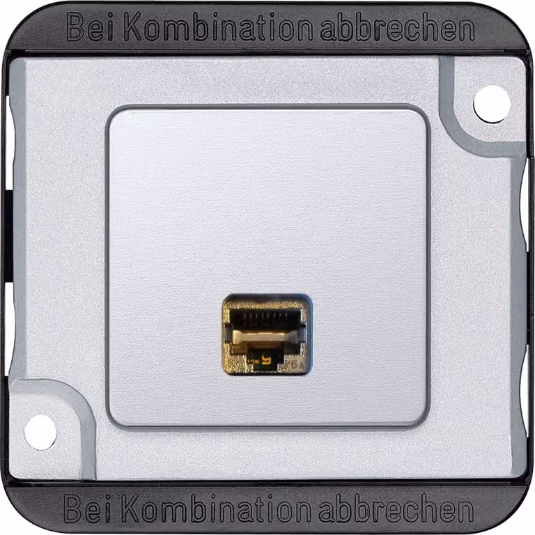 MERTEN Inserto per armatura argento MEG4576-7021