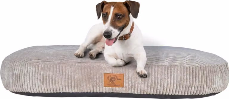 Letto ortopedico per cani Cuscino per cani Divano per gatti 110x65CM