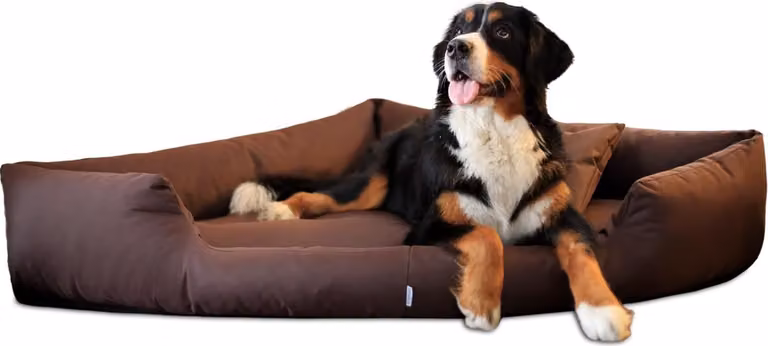 tierlando® TRIVIA | Letto ortopedico angolare per cani letto in poliestere per cani letto a triangolo - Dimensioni: 100x100cm | Colore: 01 Brown