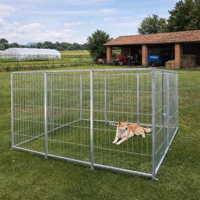 Box per cani da esterno SIDERBOX in acciaio zincato a caldo colore argento L: 300 cm, P: 200 cm, H: 180 cm