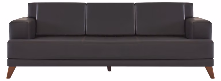 Ledersofa Modern 3-Sitzer Schwarz Einfarbig Couch Polster Kissen Holz