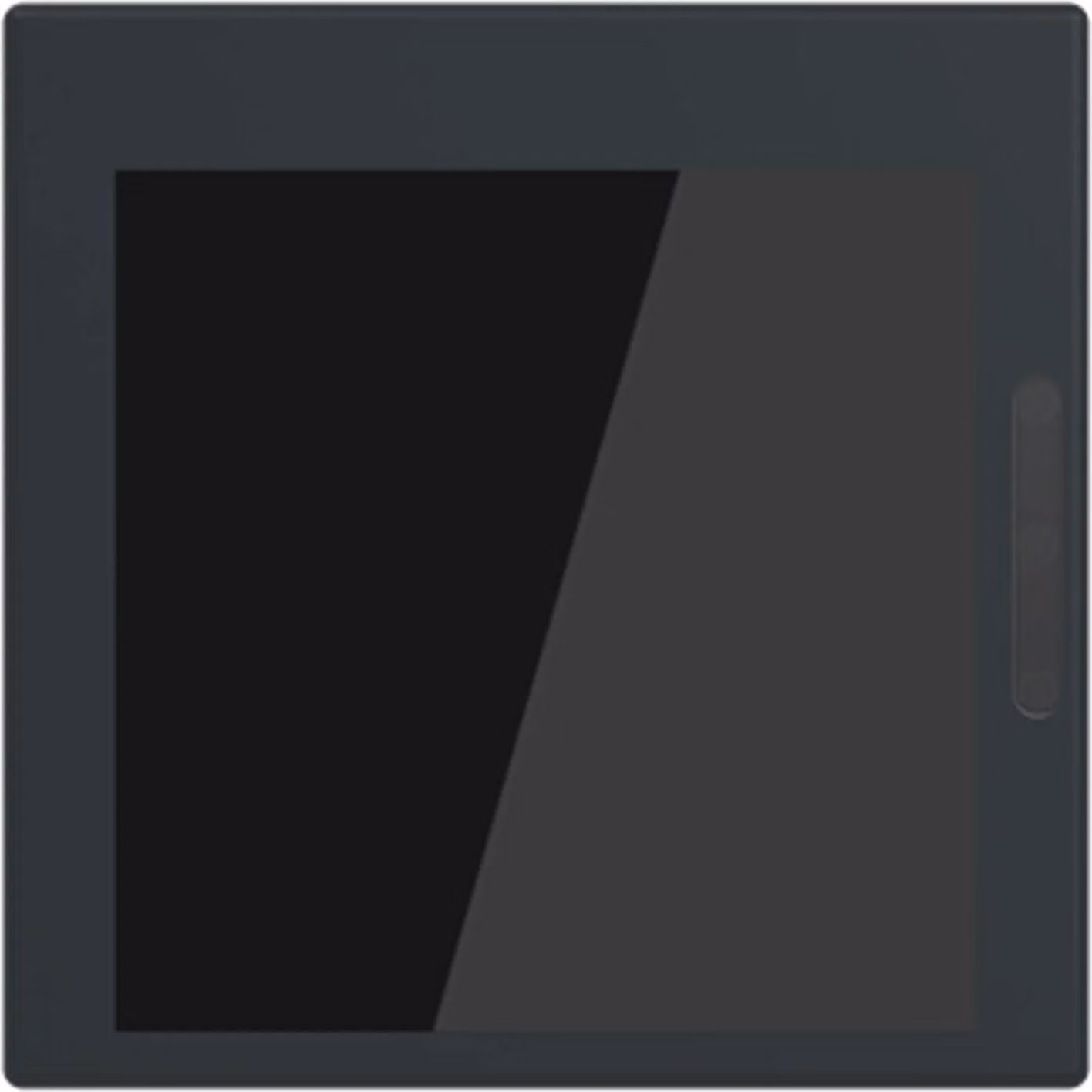 Display Busch-Jaeger 2,4" per Busch-balance SI, 1 pz.