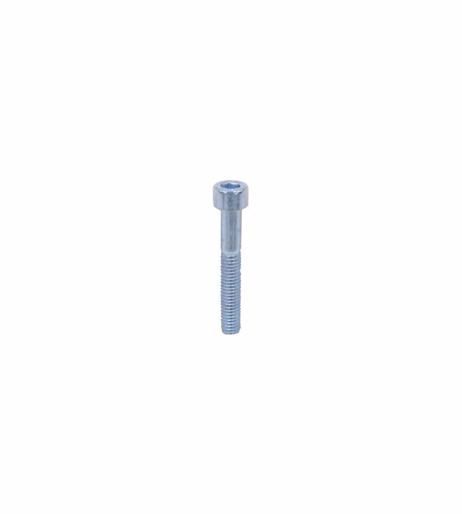 Viti Metriche Brugola Zincate Testa Cilindrica. Mm.6X16