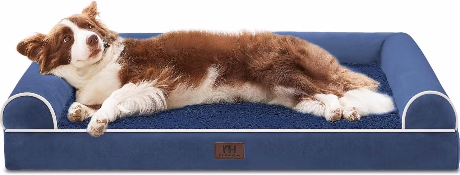Cuccia ortopedica per cani, extra grande, impermeabile, con rotolo di supporto a forma di U, rivestimento removibile, colore blu navy