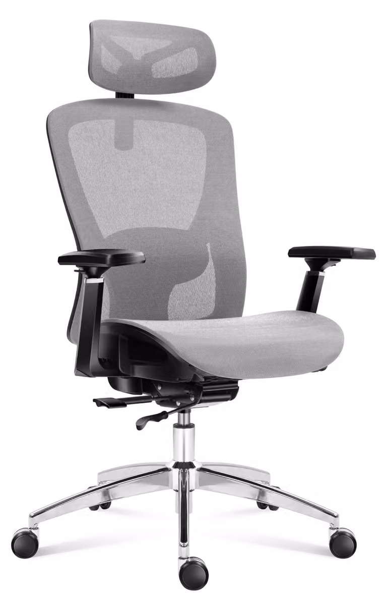 Sedia da ufficio ergonomica - Supporto lombare regolabile - Grigia