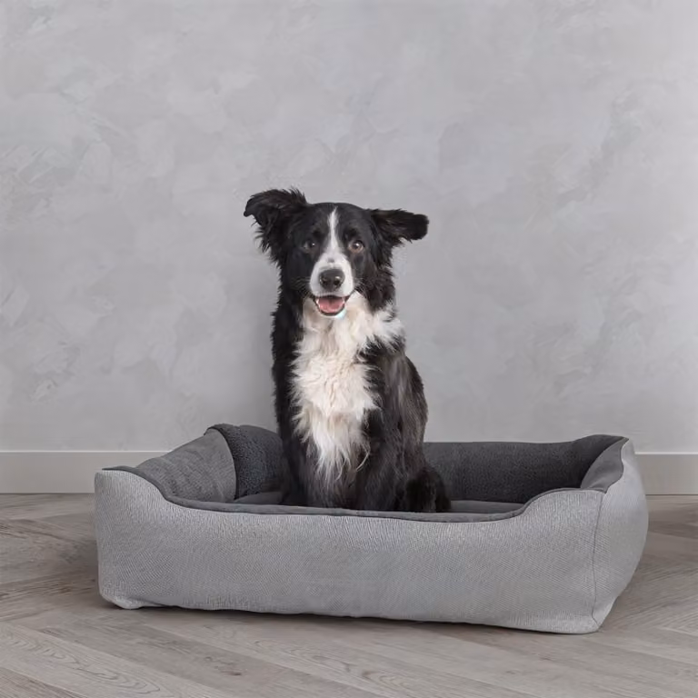 Cuccia per animali domestici reversibile, color grigio chiaro, dimensioni 84x66x19 cm