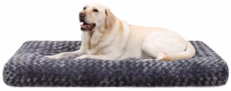 Omgoods - Cuccia per cani XXL, adatta a cani di grossa taglia - Lavabile in lavatrice - Grigio scuro (122x74 cm)
