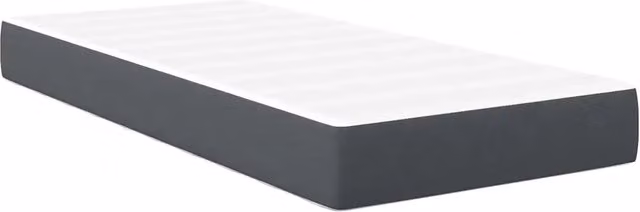 Letto singolo | Letto per adulti | Materasso da Letto con materasso Grigio 100 x 200 cm Tessuto