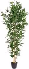 Pianta artificiale Bamboo Bizzotto verde Altezza: 240 cm