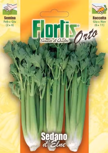 Flortis Semi di Sedano d'Elne Verde - Altezza Media Profondità 0,5 cm