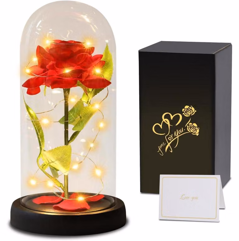 Rosa eterna in vaso, regalo per donne, Festa della Mamma, colore bianco, 11,5x24 cm