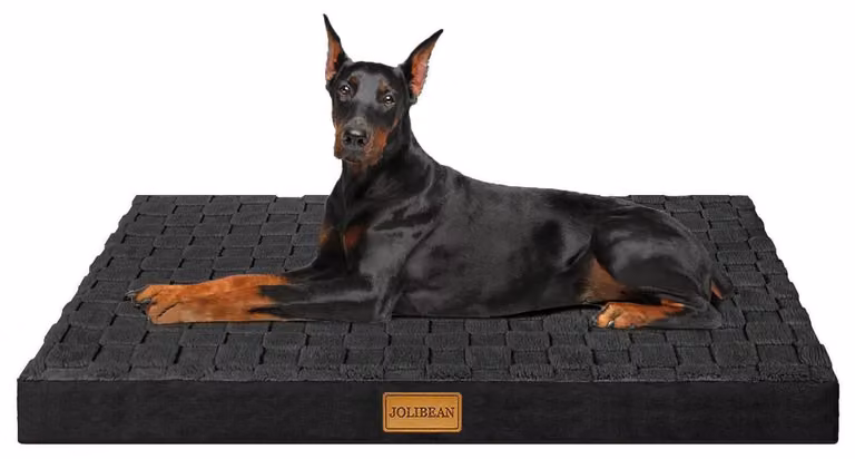 Cuccia ortopedica per cani, modello Jumbo, dimensioni 142x101 cm, colore nero