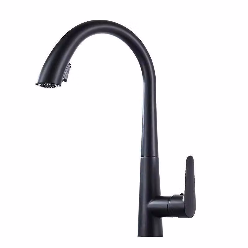 Rubinetto da cucina in acciaio inossidabile 304, miscelatore estraibile, orientabile a 360°, due tipi di getto con la semplice pressione di un pulsante, finitura spazzolata, nero