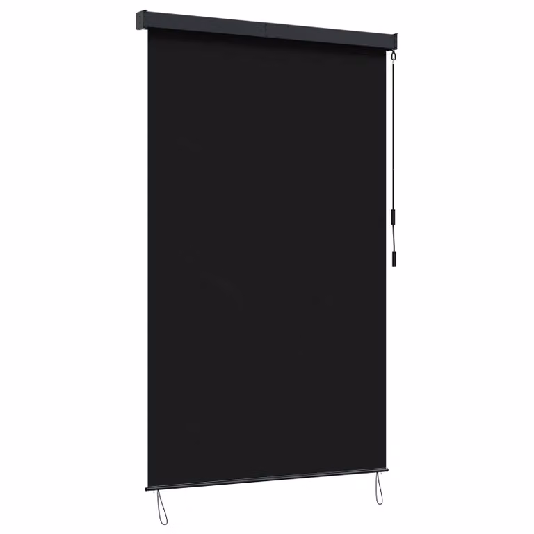 Tenda a rullo vidaXL in alluminio e poliestere, colore nero, L: 160 cm, H: 250 cm