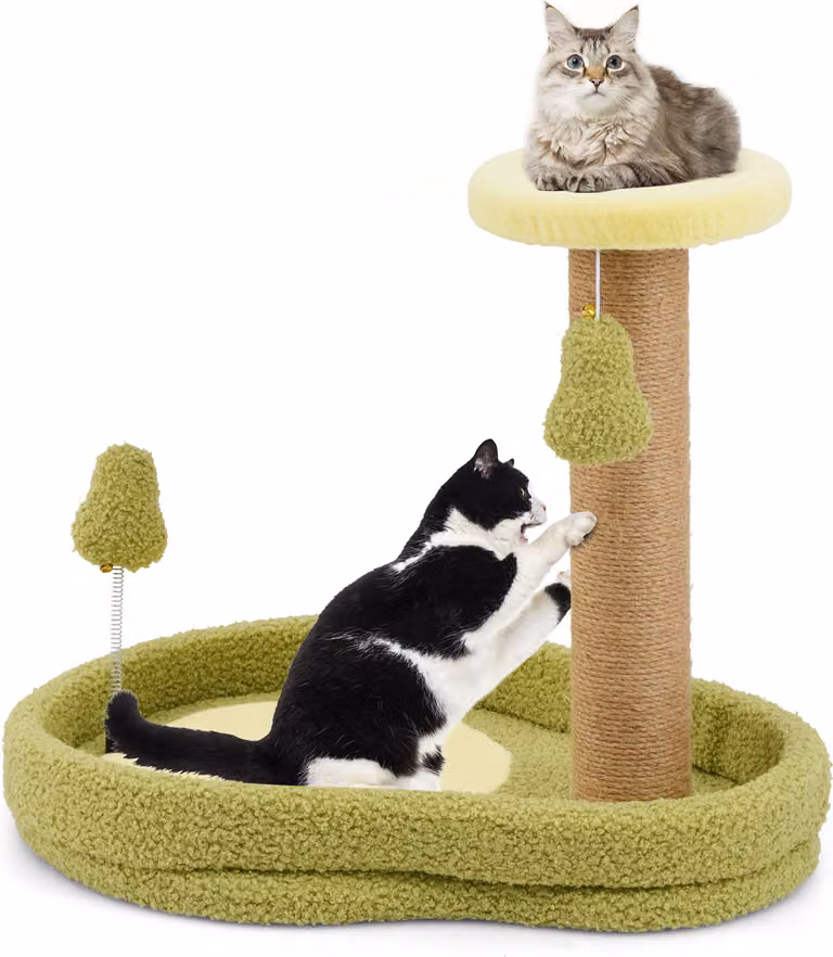 Tiragraffi COSTWAY alto 50 cm, albero per gatti in look avocado, albero da gioco con letto per gatti, giocattolo di piume e tiragraffi in sisal, albero da arrampicata per gatti