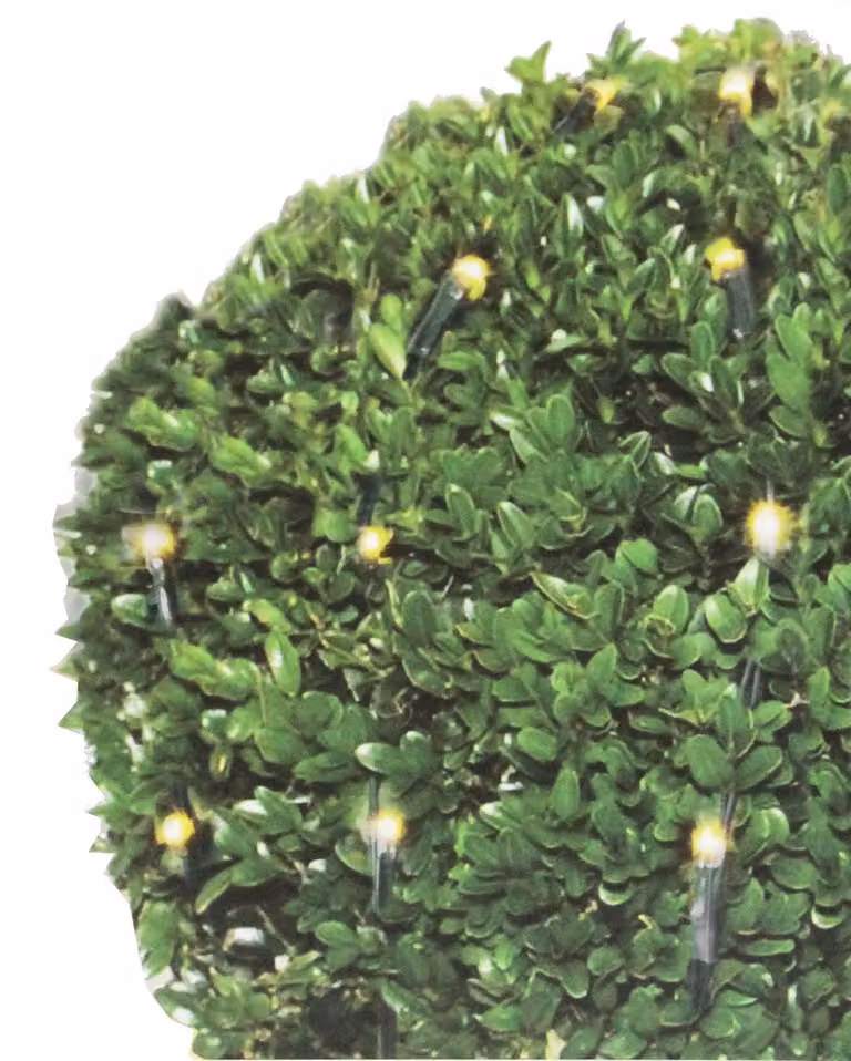 Rete luminosa a LED per siepi di bosso, diametro 0,9 m, 100 LED bianco caldo, grado di protezione IP44