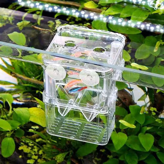 Impianto di acquacoltura a due livelli in plastica