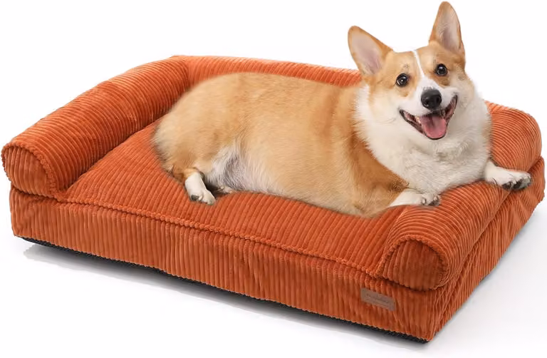 Cuccia per cani e gatti, con rivestimento impermeabile in TPU, dimensioni 91 cm, adatta a cani di taglia media