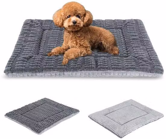 Cuccia lavabile per cani, cuscino in schiuma memory, grigio, M, 75x50 cm