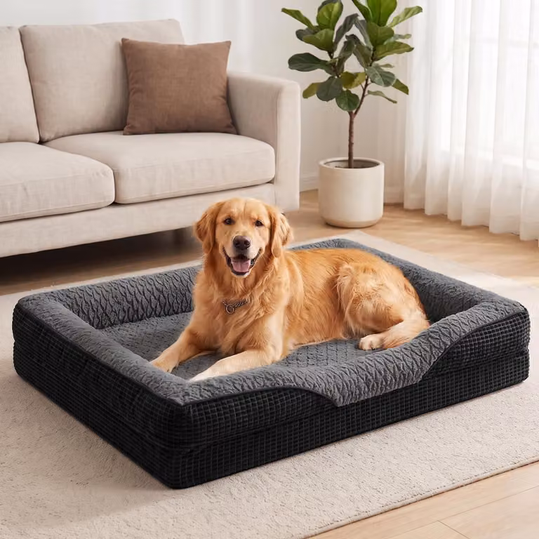 Cuccia per cani, taglia XL, dimensioni 107 x 81 x 19 cm, realizzata in memory foam, con rivestimento removibile, antiscivolo, con bordo rialzato, ideale per cani di grossa taglia