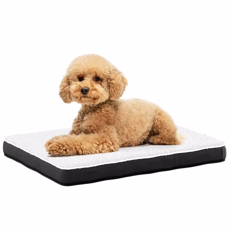 Avalo Cuscino Ortopedico per Cani M - 76x51 cm - Lavabile / Memory Foam / Antiscivolo - Cuccia Ortopedica per Cani