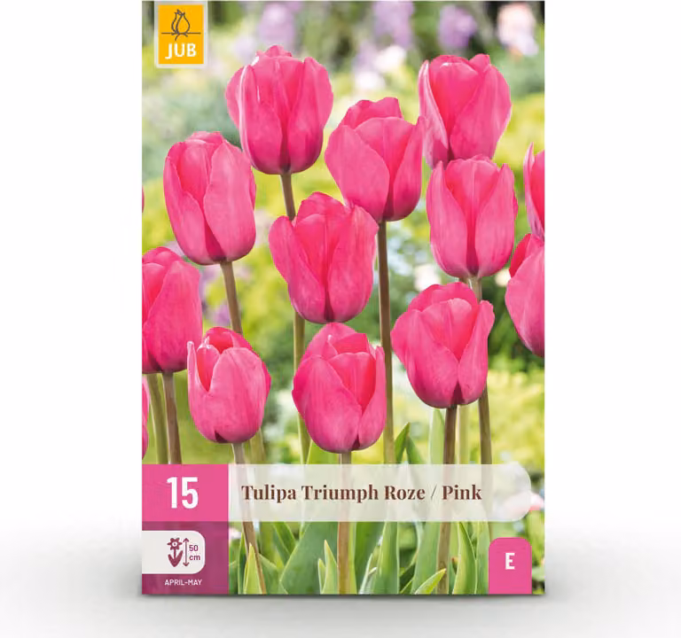 Bulbi da fiore - Tulipano 'Triumph Pink' - Rosa - 15 pezzi - Bulbo misura 11/12 - 20-50cm - Ø5cm - Pianta da giardino - Multideal