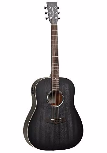 Blackbird Sloped Dreadnought Elec Chitarra acustica: Chitarra acustica