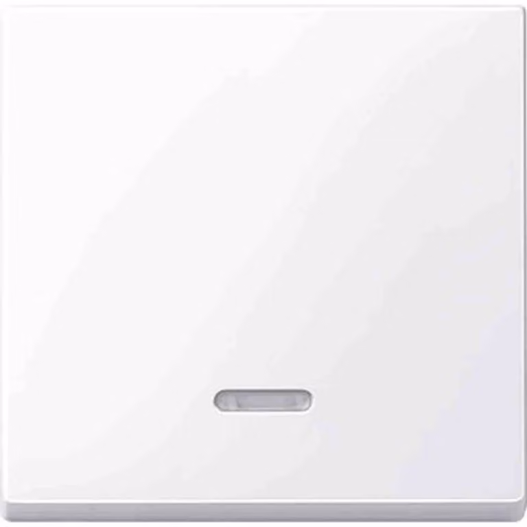 Merten 436025, Controllo: Pulsanti, Colore del prodotto: Bianco, Materiale dell'alloggiamento: Termoplastico. Quantità per confezione: 1 pezzo(i) (4360