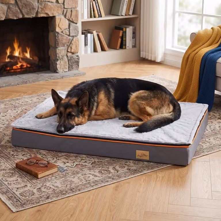 WISFOR Letto per cani XXL, cuscino ortopedico per cani, letto per gatti extra large impermeabile e lavabile, 120 x 90 x 10 cm