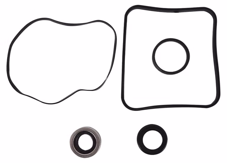 Kit di riparazione per guarnizioni O-ring per pompe per piscine, completo di guarnizioni e tenute