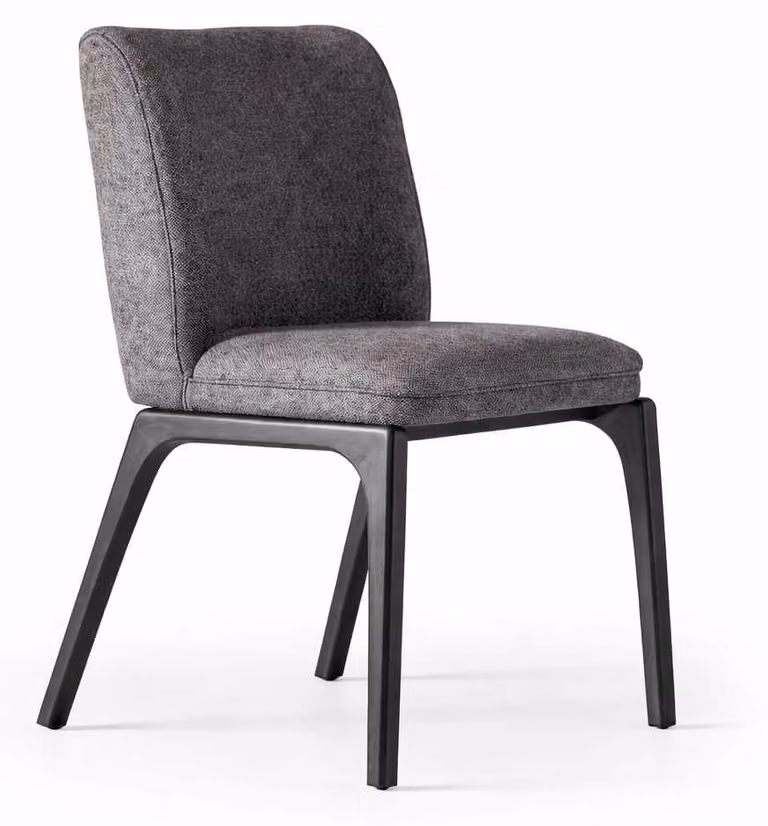 Sedia Sedia da pranzo Sedia relax Sedia di legno Sedia di design Sedia imbottita
