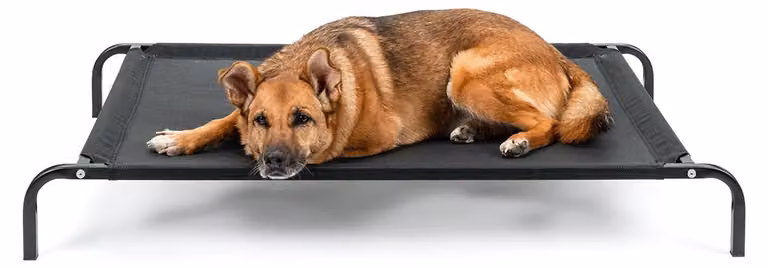 lettino per cani lionto, comodo letto per cani da esterno con tessuto a rete, rialzato, arioso e resistente alle intemperie, 114x76 cm, nero