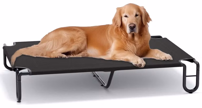 Elzusha - Cuccia per cani, adatta sia per interni che per esterni - Cuccia rialzata per cani, taglia XL, colore nero
