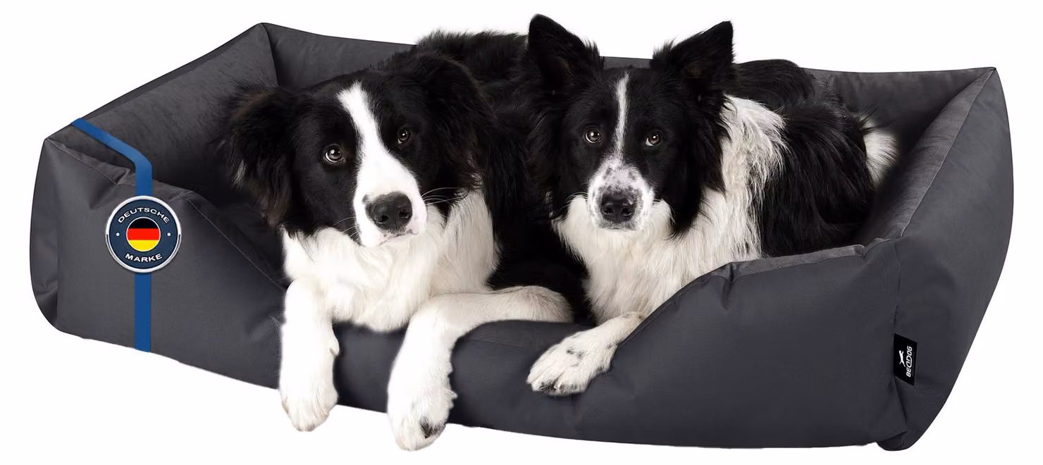 Letto per cani BedDog ZARA: cuscino per cani con rivestimento lavabile, cuccia per cani, divanetto per cani, GRAFIT (grafite), (XXXL) ca. 145x105x28 cm