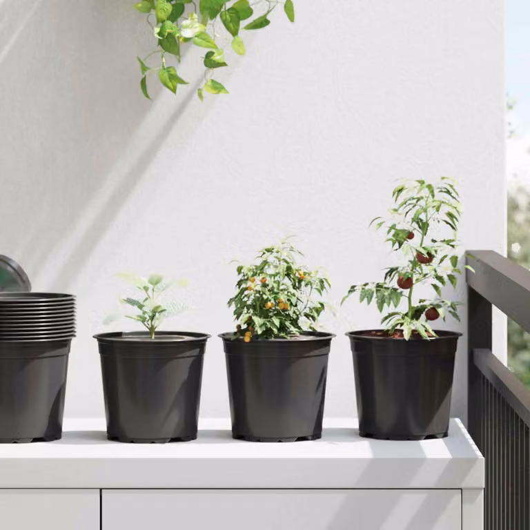 Set di 100 vasi rotondi per fiori vidaXL in plastica nera, Ø 15 cm x H 13 cm