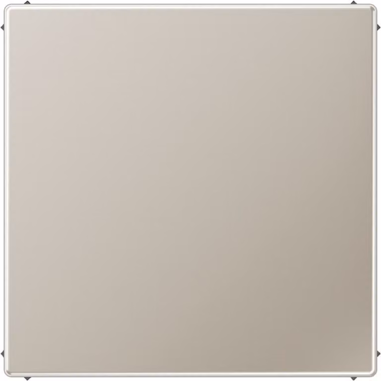 Jung ES 2994 B Coperchio cieco LS990/LS design acciaio inox