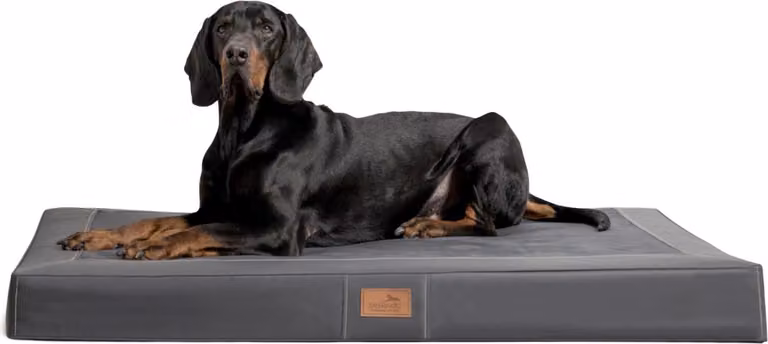 tierlando® OSCAR VISCO materasso ortopedico per cani in Pelle finta velour - dimensioni: 150x100cm | colore: 02 graphite